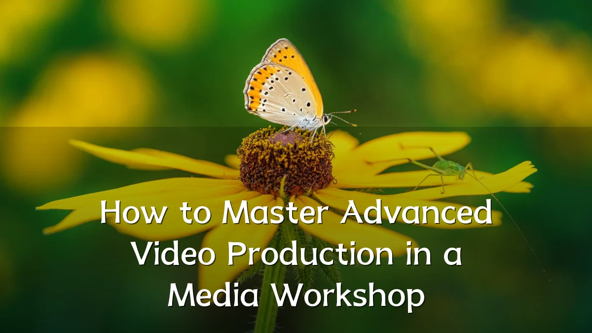 How to Master Advanced Video Production in a Media Workshop